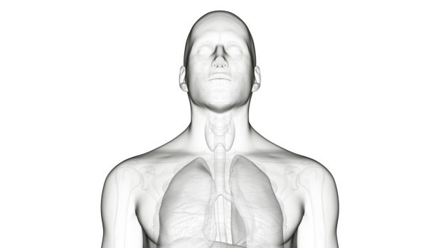 The undervalued endocrine system