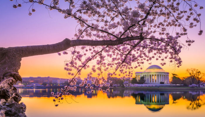 11-12 April 2018: SALSS Goes to Washington